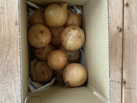 農薬・化学肥料不使用　玉ねぎ　箱込　２ｋｇ