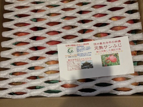 「完熟サンふじ」訳あり 在庫一掃底値市！　ご家庭専用　5キロコース　中小玉（16～20個入り） 甘くてジューシー　甘さと酸味バランス良好