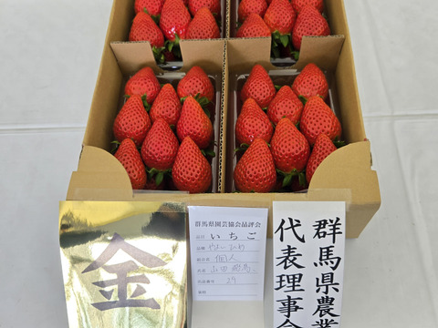 群馬県いちご品評会金賞🥇受賞やよいひめこだわりの栽培で味が濃すぎるいちご400ｇ 2パック※指定日無し【冬ギフト 】【ひな祭り、ホワイトデー、お彼岸】