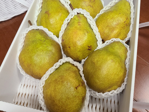🍐【レア品種の訳あり】【絶妙な酸味で濃厚な味わい】『シルバーベル』 ３キロ 【西洋なし】【西洋梨】【山形県天童市産】【ご家庭用】