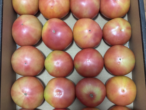 お買得！！訳ありトマト（約3.5〜4K） ×2箱