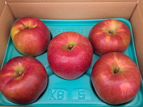 ≪出荷中≫幻のりんご【あいかの香り】約3kg