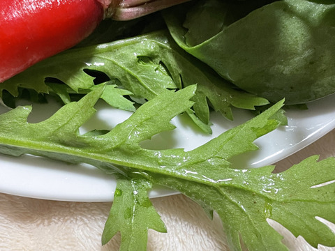 60サイズの野菜セット