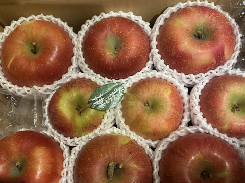 【冬ギフト】 🍎《家庭用》青森完熟葉とらずふじ８〜１５玉(約３kg)🍎ID119812