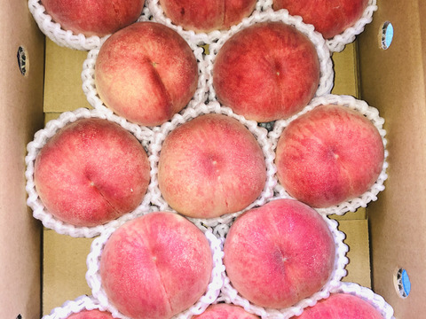 甘くてジューシー⭐︎桃源郷福島の『あかつき』（３kg箱12〜15個）【本州の方限定】