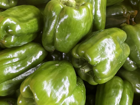 【栄養価が高い】しゅんセット(8〜10品目前後)