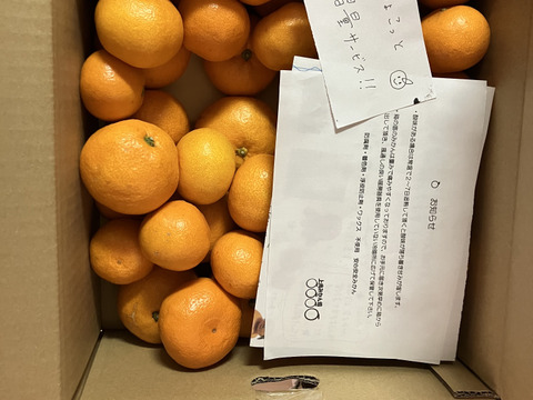 有田みかん【サイズ混合】5 kg（箱込）