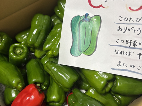 ピーマン(๑>◡<๑) 1人1回だけの特別価格】兵庫県香美町産「たじまのピーマン1kg
