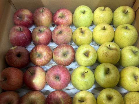 葉とらずりんご食べ比べ🍎🍏丸かじりにぴったりの小玉サイズ2種4kg 低農薬で皮ごと安心✨青森県特別栽培認証　訳ありご家庭用