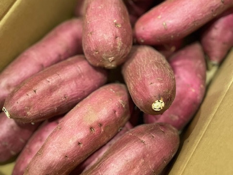 上品な甘さの「シルクスイート」５kg【鹿児島県産】【サツマイモ】【さつまいも】【冬ギフト】