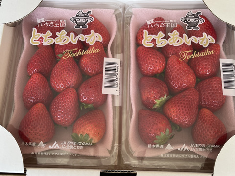 『とちあいか』フレーズのこだわりいちご260g×4パック