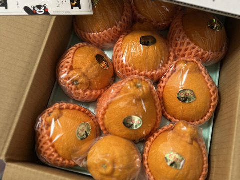 めちゃ大人気❗️不知火デコ柑2、5キロ7〜12玉