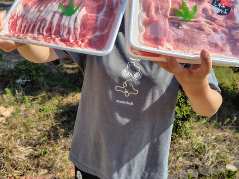 『豚ホルモン　レバー　1000g』岡山県御津でこだわりのエサと放牧飼育で育てた4元豚　『とよ』レバー　1000g