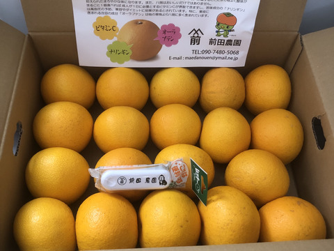 【特別栽培】和歌山県産【極ウマ】　八朔(5kg)