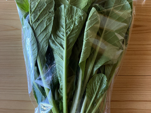 おべじの小さな畑便 ≪初夏のサラダ野菜セット≫
