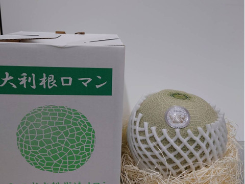 【今年もきました！大好評！】いつでも甘くておいしい大玉最高級メロン！「大利根ロマン プラチナランク！」