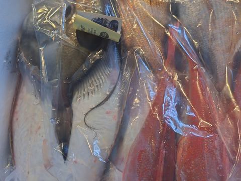 「未利用魚」えっこ船長お任せバラエティーセット(1kg)