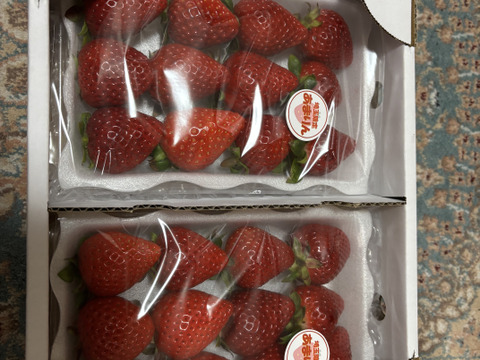 埼玉県産いちご　あまりん