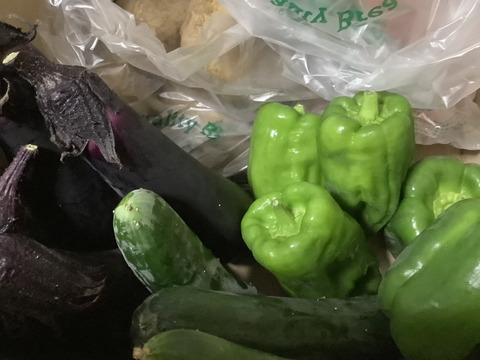 農薬不使用 夏野菜セット　採れたてを箱いっぱいにお入れしてお送りします