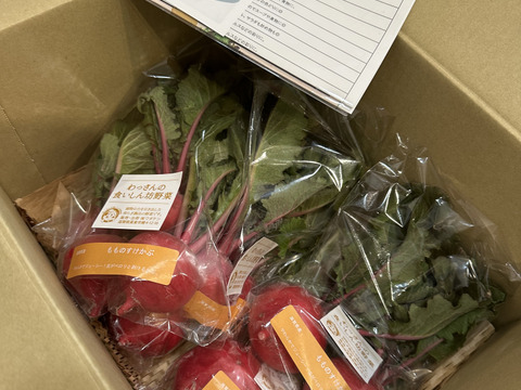 和らぎ農法　もものすけかぶ（2～6個）