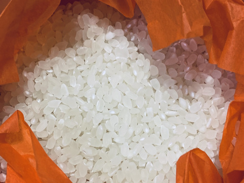 キラッ☆キラの炊き上がり2023年収穫米（新米）
"Kobe Rice" 神戸で穫れた白米で10kg、土日出荷限定