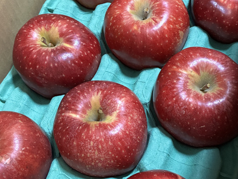 終わります🍎【幻の林檎】さとあかり 3キロ箱 6玉〜15玉サイズ商品ID47897 長野県 信州 安曇野 リンゴ 幻 幻のリンゴ 予約 希少 旬