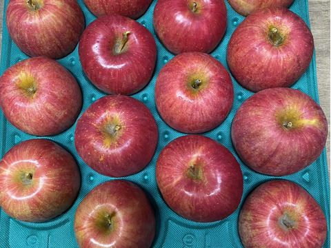 果汁たっぷり！特別栽培りんご『ハックナイン』家庭用訳あり・3㎏