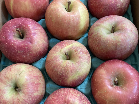 2026年度産予約開始🍎青森県産完熟葉取らずふじ家庭用キズあり約3kg‼️