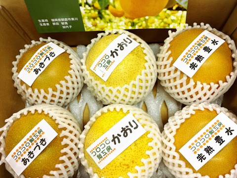 【旬の梨食べ比べ‼️3～5品種】何が届くかお楽しみ😋贈答用2.5kg以上、豊水・あきづき・かおり・あきあかり・二十世紀・南水・にっこり・新高・王秋・新興・愛宕の中から3品種以上詰め合わせます‼️