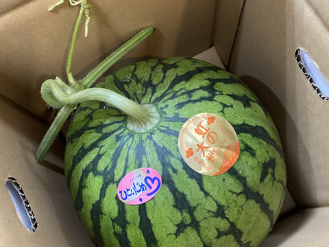 【赤のキセキ】〜苺から小玉すいかへ。季節が交差する、7日間だけの限定セット〜