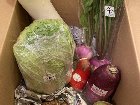 もう少し多めに食べたい方へ　２５００円お勧め旬野菜セット
田口農園徳島「イチオシ旬野菜セット」
農家人が選ぶ旬野菜のおまかせセットです。季節ごとの旬の世界農業遺産ブランド野菜を厳選してお届け致します。