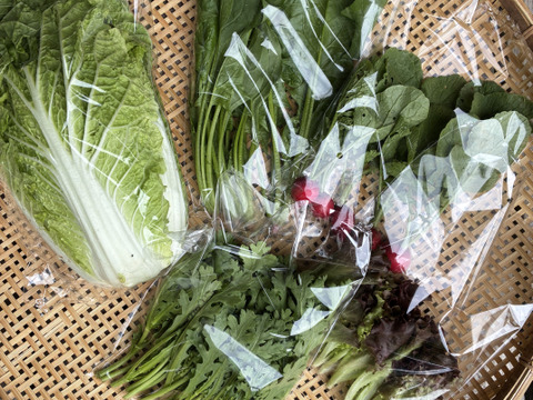 今だけ100円値下げ中！小さな農家、旬のお野菜セット　5品目＜農薬、化学肥料不使用＞【朝どれ】【父の日ギフト】