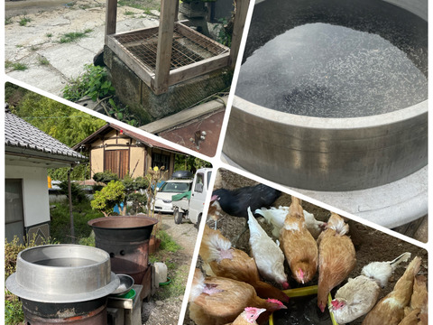 【期間限定販売】【麻績古都】麻炭卵10個入り+割れ保証2個付き　平飼い・放し飼い