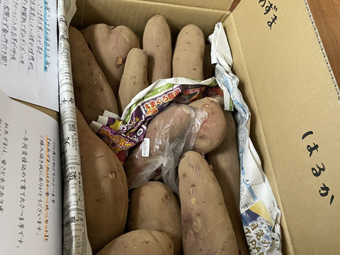 2種食べ比べ！ホクホク系&ねっとり系　M〜2L
千葉県香取市産【あずま＆はるか】4.8kg