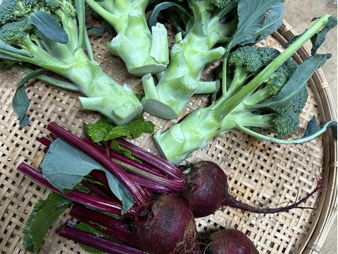 栄養満点！ブロッコリーとビーツのスーパーフードセット