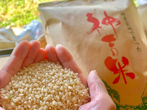 貴重な天日干し！京都府南丹市産「ササニシキ」玄米５kg（栽培期間中農薬不使用）