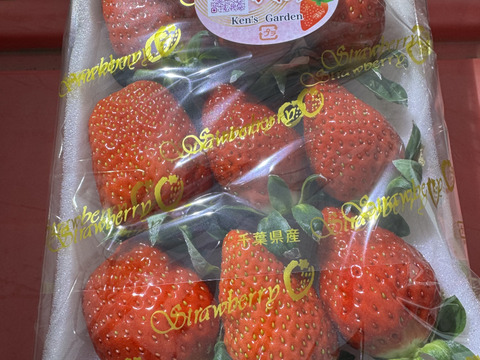 JGAP認証・千葉県産かおりのセット(2パック入り)