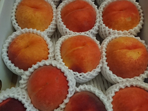 ワッサー　ならお任せ！！　信州ならではの桃　訳あり　ご家庭専用コース　2.8キロ（13から15個入り）　ご好評販売中