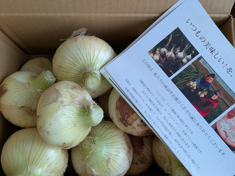 年内発送‼️淡路島　 新玉ねぎ！5ｋｇ　　みずみずしく、柔らか〜い！　　【ひょうご安心ブランド認証】特別栽培　サラダ