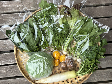 ギフトにも！きのこ入り！旬のお野菜セット　6-8品目　熨斗対応可＜農薬、化学肥料不使用＞【冬ギフト】