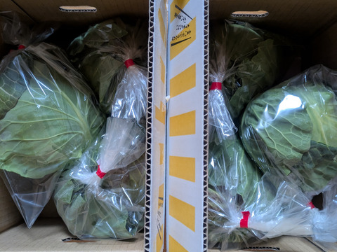 【超期間限定！】大人気♪甘くて柔らかおいしさ感動級♪「グリーンボール」3玉