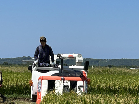 【令和7年新米】石川県産ゆめみづほ令和7年産　3升（4.5キロ）
