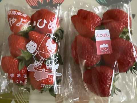 【おまかせ食べ比べ】いちご たっぷり2kg！やよいひめ•よつぼし•おいCベリーから、採れたての新鮮ないちごを2、3品種、サイズおまかせでお届け！甘さ、味の違いを楽しんで！