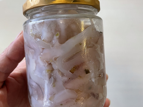 釣りたてヤリイカの塩辛(肝不使用)2瓶
