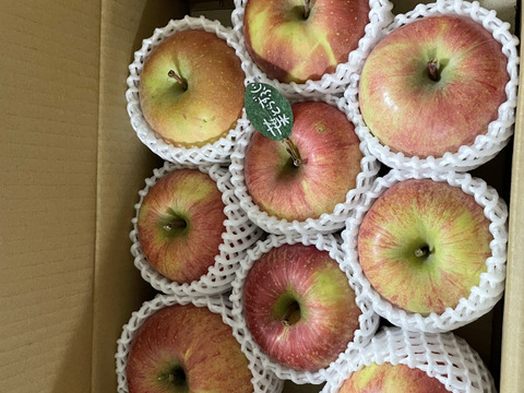 【冬ギフト】 🍎レビュー数1700件突破！！《家庭用》青森完熟葉とらずふじ８〜１２玉(約３kg)🍎ID119812
