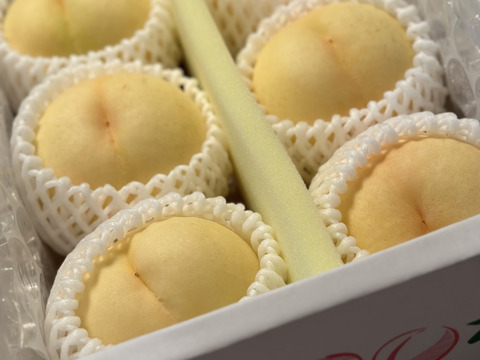 【2025年追加】ご自宅用・清水白桃★～とろける果肉とたっぷり果汁の白桃～（2㎏箱）