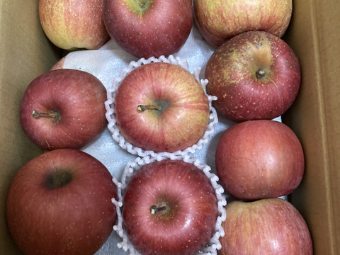 信州りんご🍎４キロパック詰め