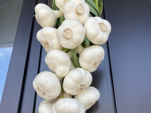 【200円引き‼️買うなら今✨】青森にんにく大玉1キロ🧄（さらに、青森りんごジュース1本おまけ🍎）