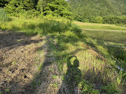 【福袋2025】食べチョク八周年記念セット