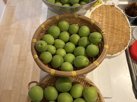 【南高梅・梅郷】自然栽培 農薬・化学肥料不使用の青梅！サイズ混合2kg